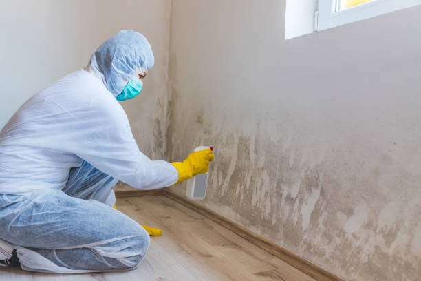 Licensed Mold Remediation service in Frederick, MD - 24 Hour Mold Removal