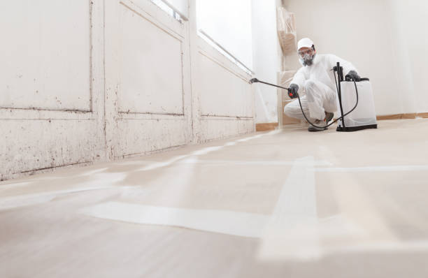 24/7 Emergency Mold Remediation experts in Frederick, MD