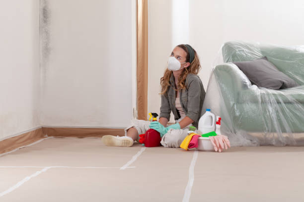 Reliable Mold Remediation contractor in Frederick, MD by 24 Hour Mold Removal